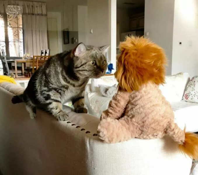 Picdump 1071 - #27 