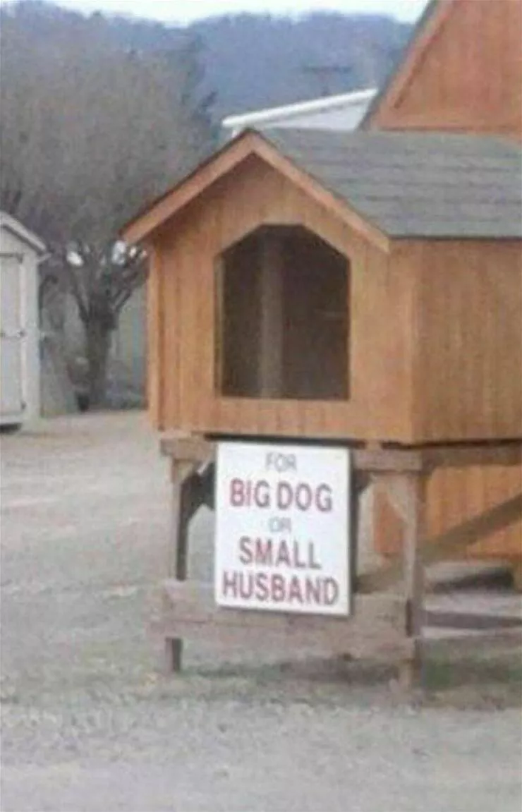 Picdump 1071 - #38 