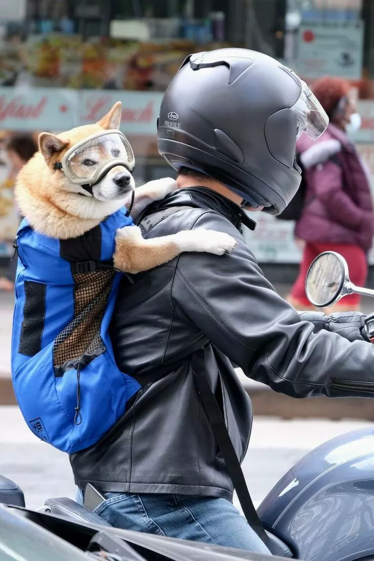 Picdump 1071 - #8 