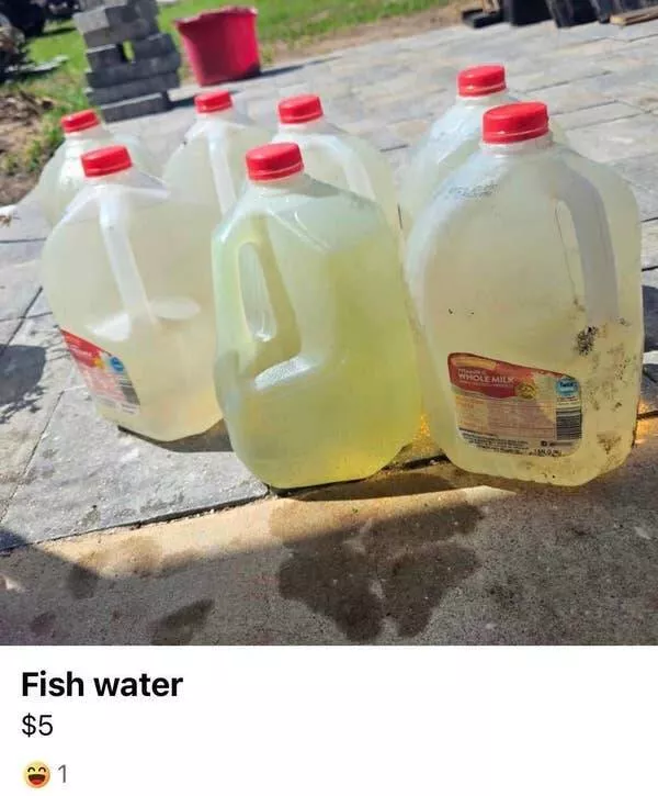The most bizarre items ever listed online when shopping gets surreal - #23 
