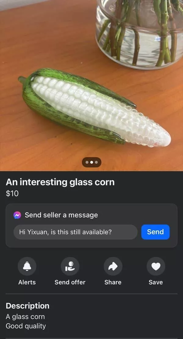 The most bizarre items ever listed online when shopping gets surreal - #24 