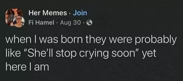 The funniest posts on the internet comedy at its finest and dumbest