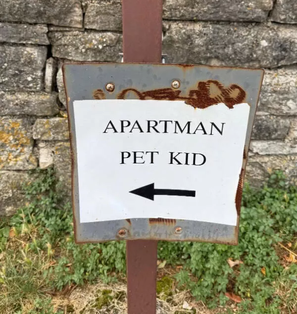 Hilarious animals who seem to be in on the joke comedy from creatures who know too much - #4 