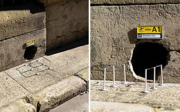 Hilarious animals who seem to be in on the joke when creatures become unstoppable comedians - #11 