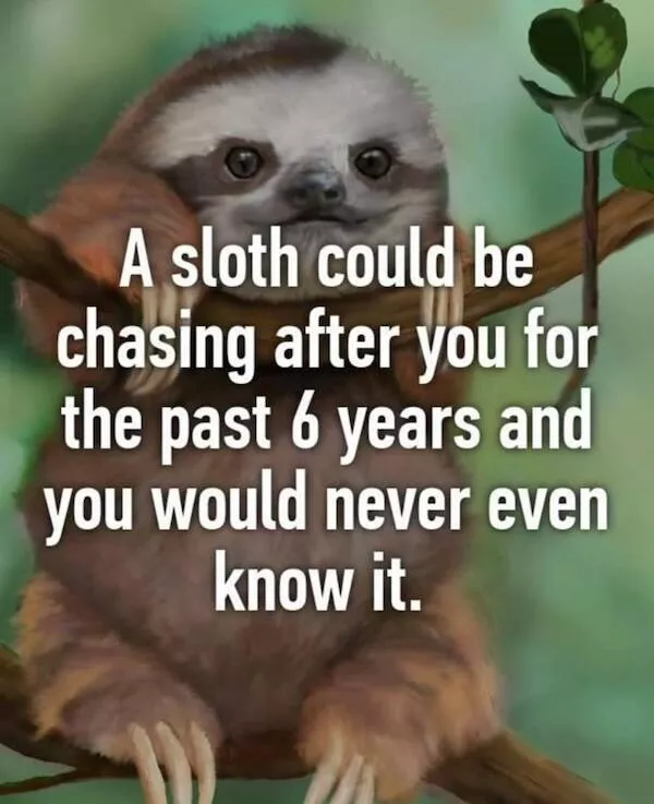Pawsitive laughs guaranteed when animals become comedy stars - #7 