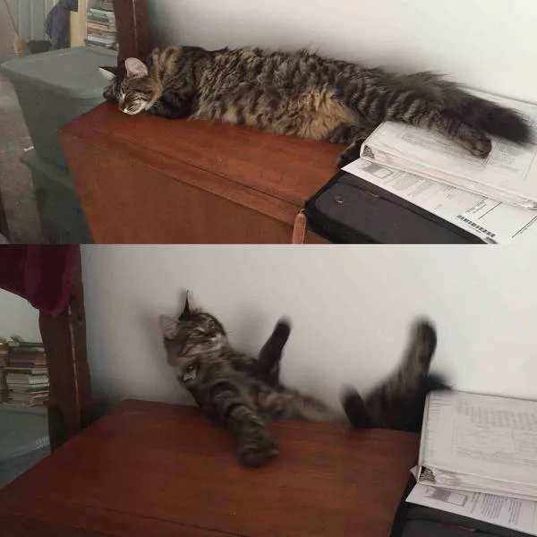Picdump 137 - #25 