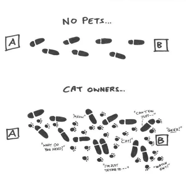 Picdump 137 - #37 