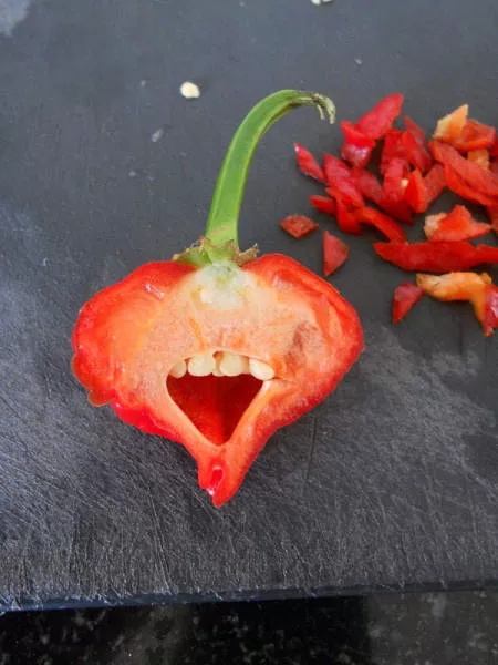 Picdump 137 - #51 