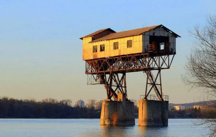 Picdump 1072 - #32 