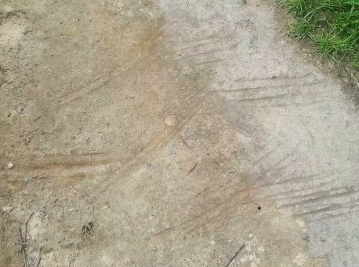 When nature decides to be absolutely terrifying the planets darkest side - #40 Scratch marks carved in stone—animal ritual or ancient warning?