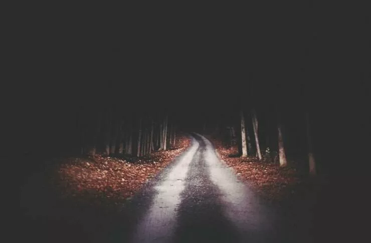 When nature decides to be absolutely terrifying the planets darkest side - #44 Pre-dawn hike road in November: misty, silent, straight out of a thriller