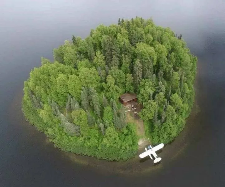 Picdump 1072 - #12 