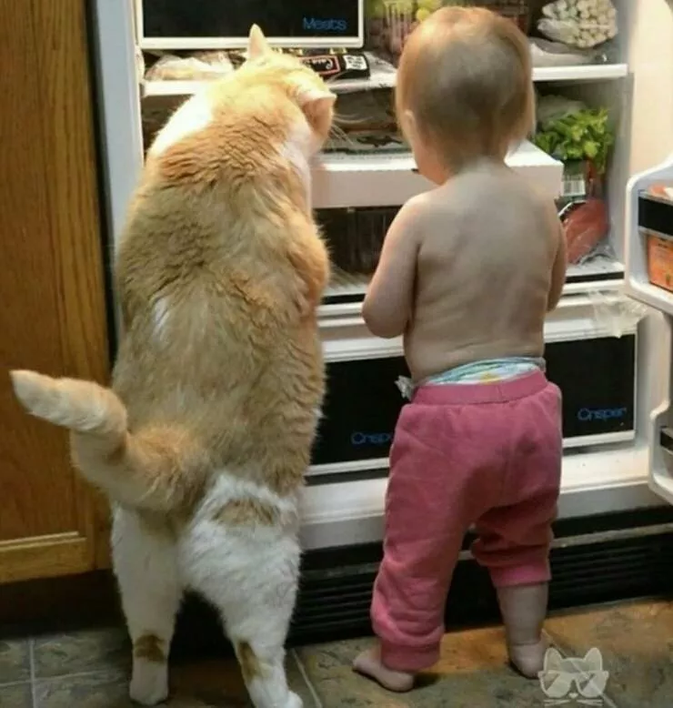 Picdump 1072 - #17 