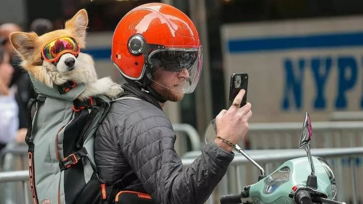Picdump 1072 - #5 