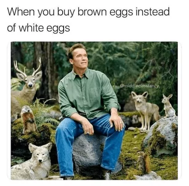 Truth bombs with a side of laughter when jokes hit like reality checks - #1 