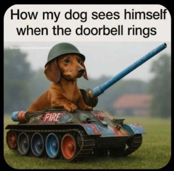 Truth bombs with a side of laughter when jokes hit like reality checks - #13 