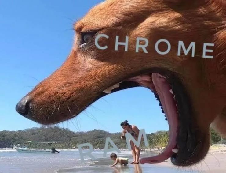 Verites cinglantes servies avec une dose de rire