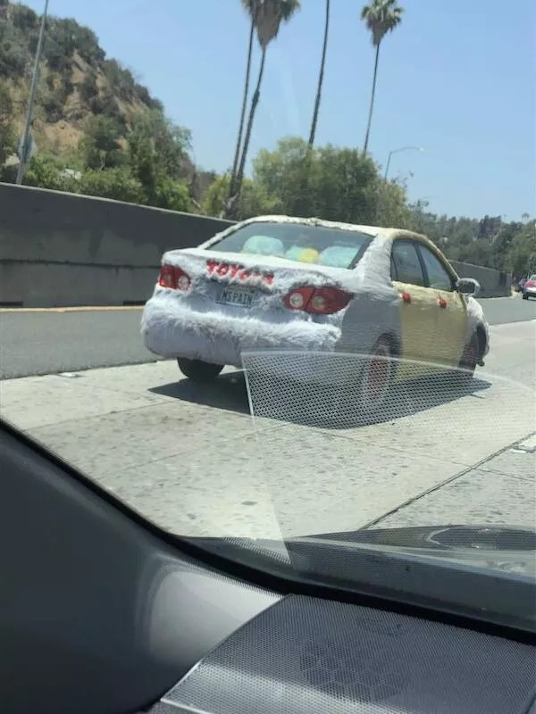 When car enthusiasts take things way too far where passion meets mechanical madness - #20 
