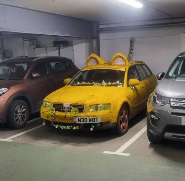 When car enthusiasts take things way too far where passion meets mechanical madness - #24 