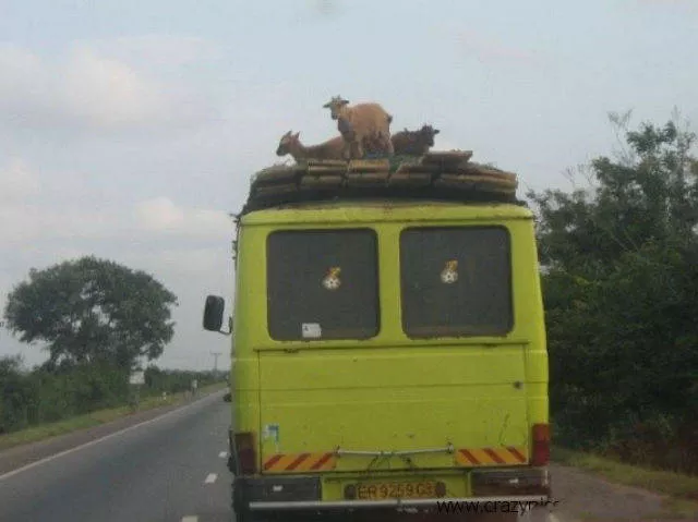 Welcome to africa - #14 