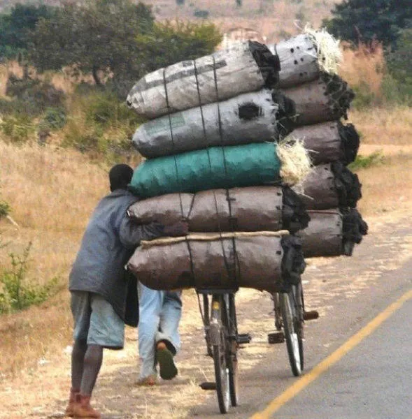 Welcome to africa - #17 