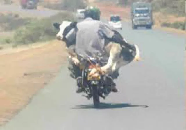 Bienvenue en afrique - #31 