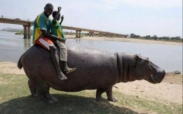 Bienvenue en afrique - #38 