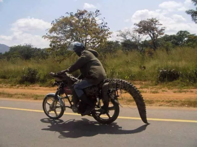 Welcome to africa - #8 