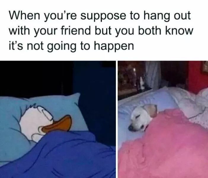 Bestielevel the funniest relatable memes - #12 