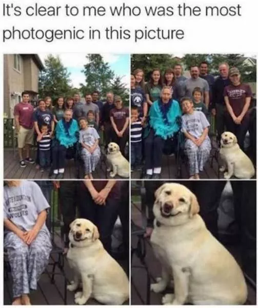 Picdump 138 - #14 
