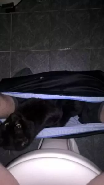 Picdump 138 - #35 