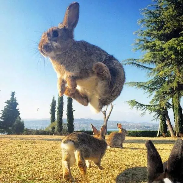 Picdump 138 - #45 