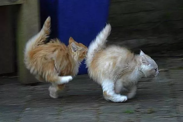 Picdump 138 - #68 