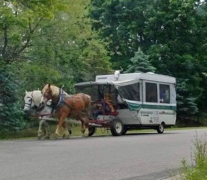 Picdump 1073 - #43 