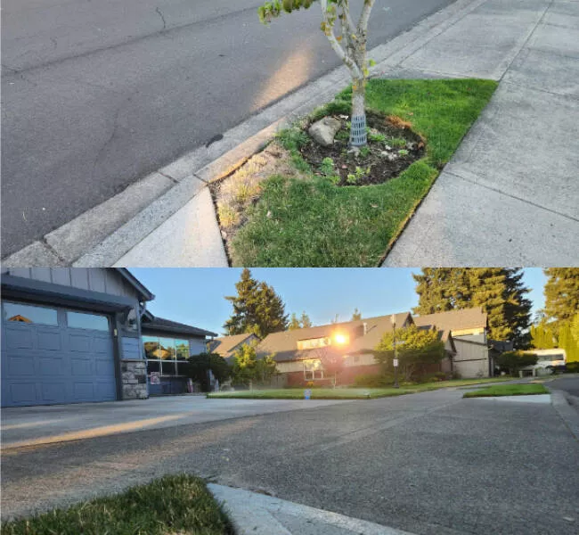 Photos that are just too cool to scroll past - #15 My neighbor's window kills a patch of grass every summer
