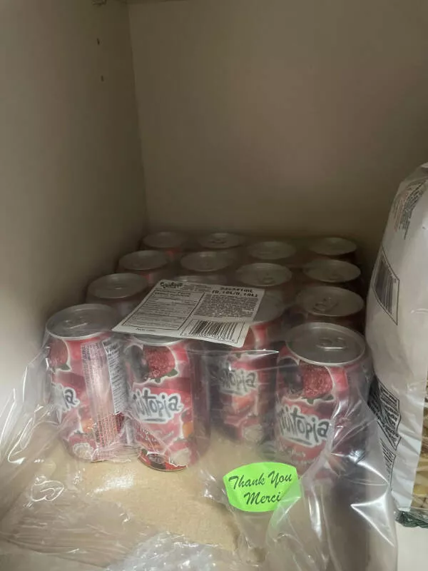 Capturer lextraordinaire les photos qui sarretent - #23 La réserve de canettes Fruitopia de mes parents, un trésor des années 2000