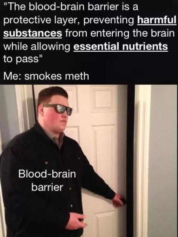 Dank memes that should probably be illegal - #21 