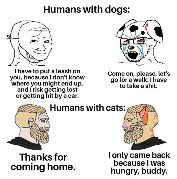 Dank memes that should probably be illegal - #4 