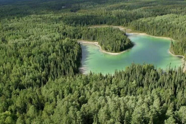 Fascination geographique les merveilles de la terre - #1 Forêt canadienne : 91 % de sa couverture originelle