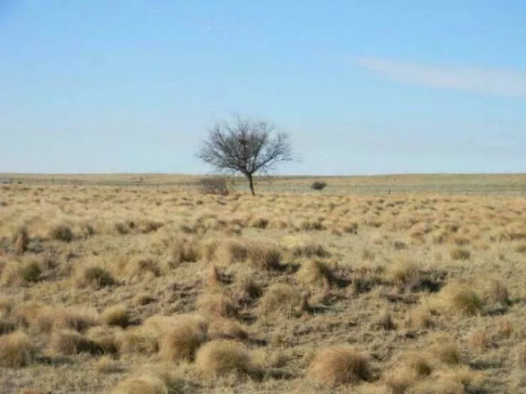 The earths most fascinating geography - #15 The surprising truth: 90% of Patagonia looks like this