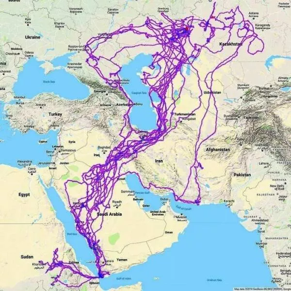 Fascination geographique les merveilles de la terre - #8 Le voyage incroyable d'un aigle sur vingt ans