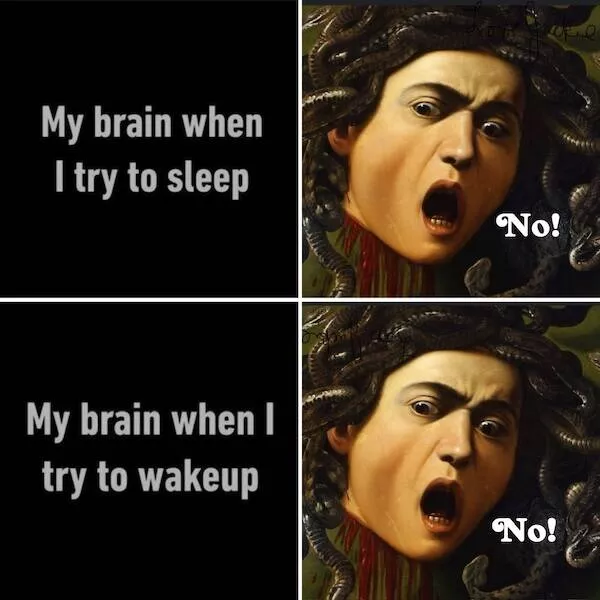 Classical art memes when history gets funny - #4 