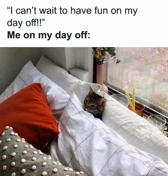 Relatable memes for you and your bestie - #29 