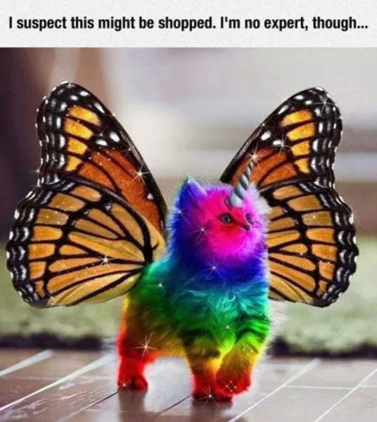 The 38 worst photoshop fails - #12 