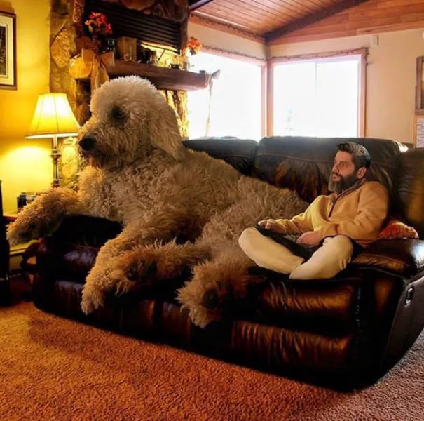 Les 38 pires montages photoshop - #21 