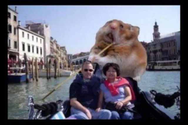Les 38 pires montages photoshop - #22 