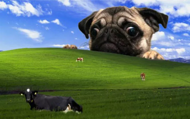 The 38 worst photoshop fails - #32 