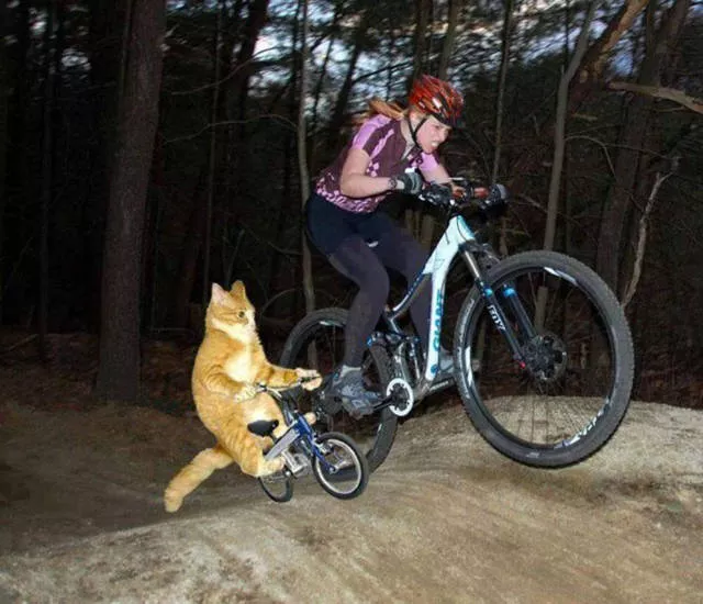 The 38 worst photoshop fails