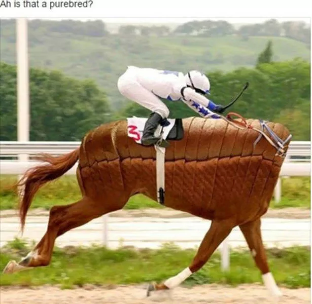 Les 38 pires montages photoshop - #7 