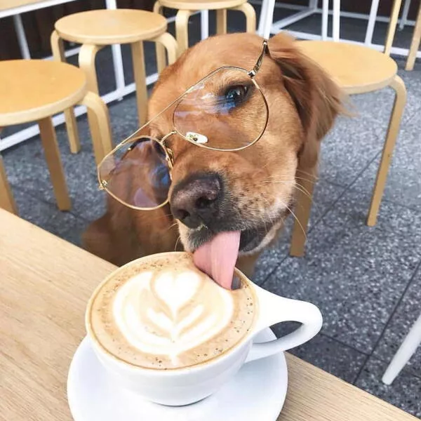 Picdump 1074 - #25 